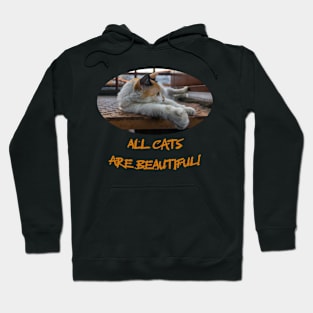 all cats are cute Hoodie